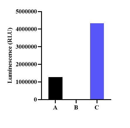 UA-Glo® Nano luciferase Lytic Detection System