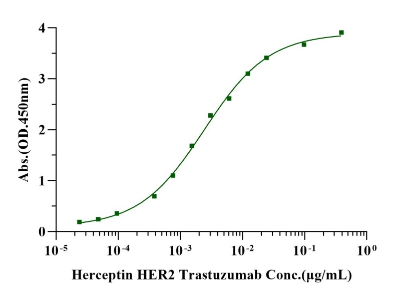 Anti-HER2 Monoclonal Antibody(Trastuzumab)