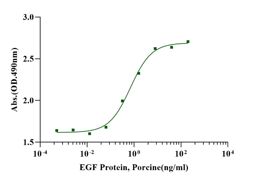 EGF Protein, Porcine (Animal Free)