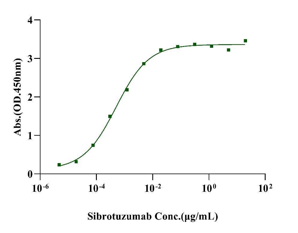 FAP His Tag Protein, Human (active dimer)