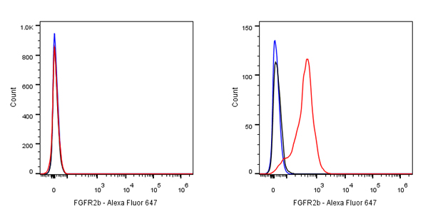 FGFR2b Recombinant Rabbit mAb (SDT-423-2)