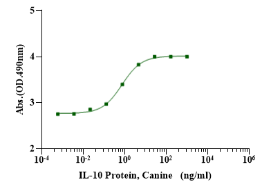 IL-10 Protein, Canine