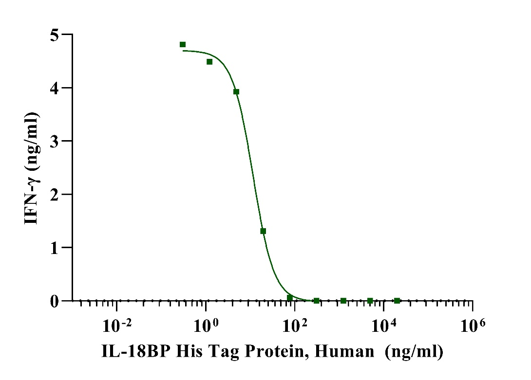 IL-18BP His Tag Protein, Human