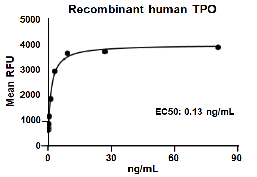 TPO Protein, Human