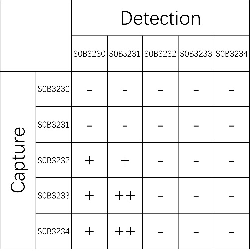 Alpha 2-antiplasmin Recombinant Rabbit mAb (SDT-805-8)