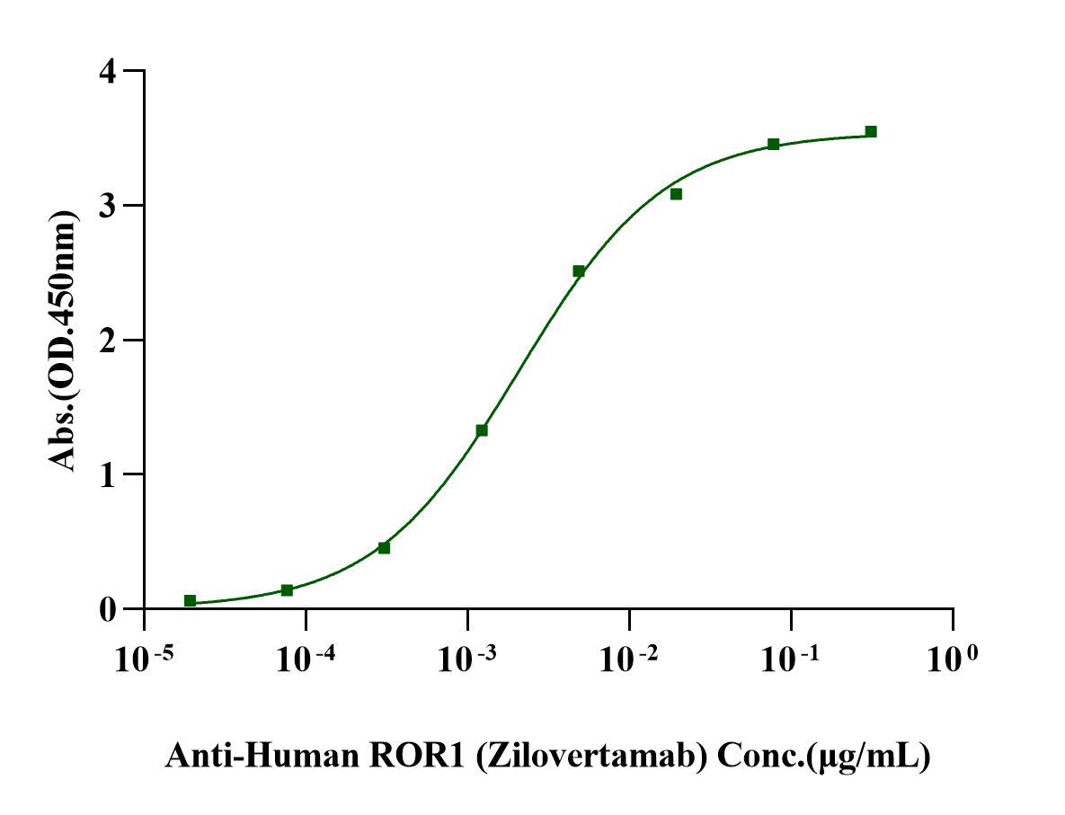 Recombinant Cynomolgus/Human ROR1(30-305,Ig-like&Frizzled Domain) Protein(His Tag)