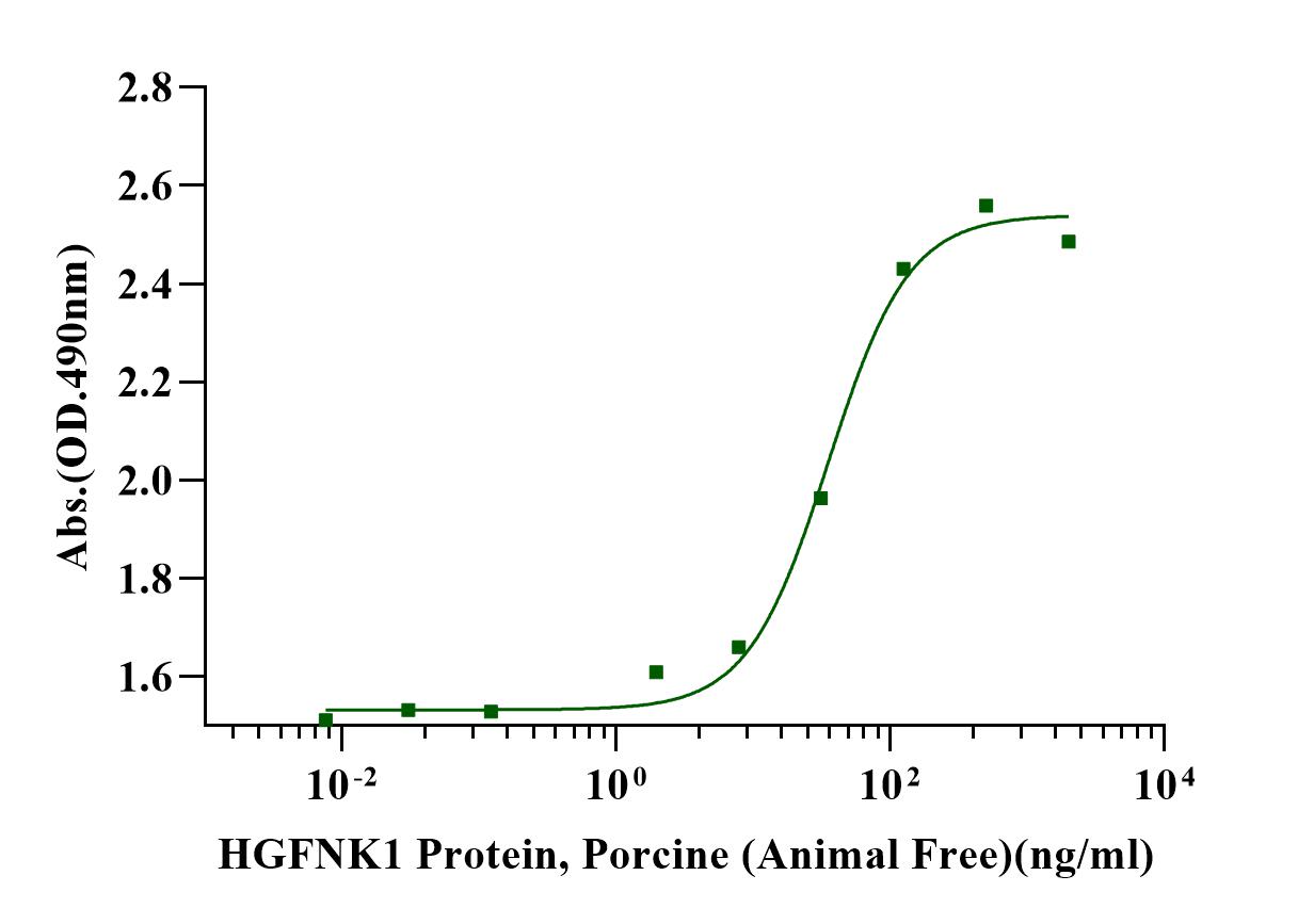 HGF(NK1) Protein, Porcine (Animal Free)