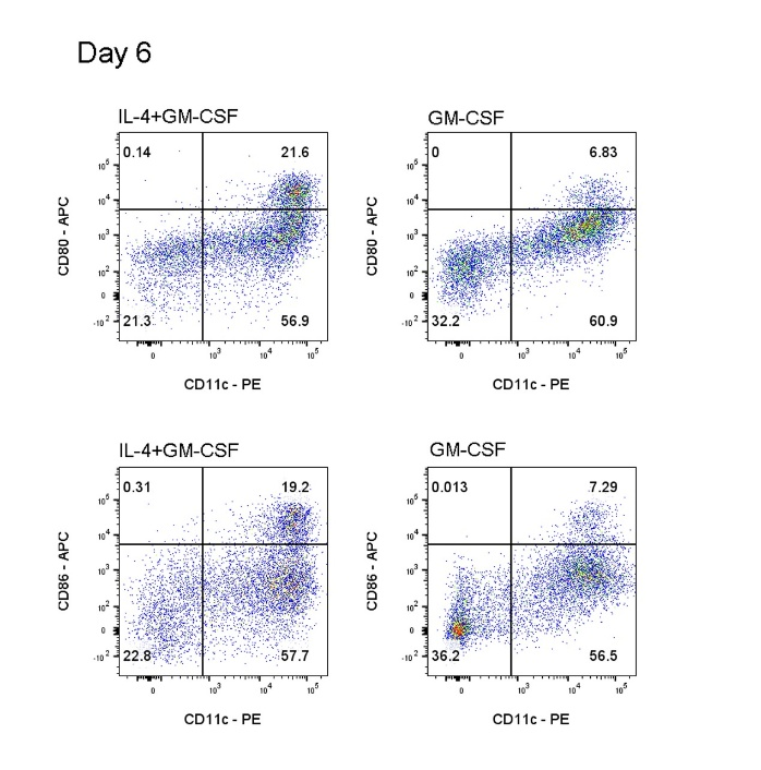 item.picture[0].fileOrgName