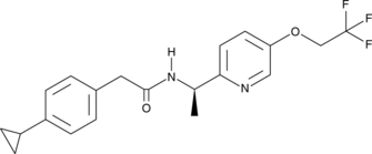 TTA-A2