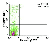 CD28 (37.51.1)