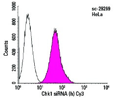 siRNA Transfection Reagent