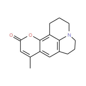 Coumarin 102