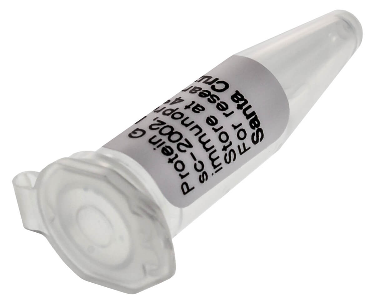 Protein G PLUS-Agarose