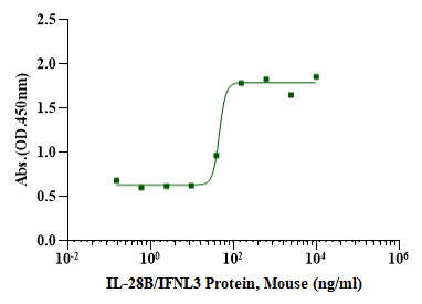 IL-28B/IFNL3 Protein, Mouse