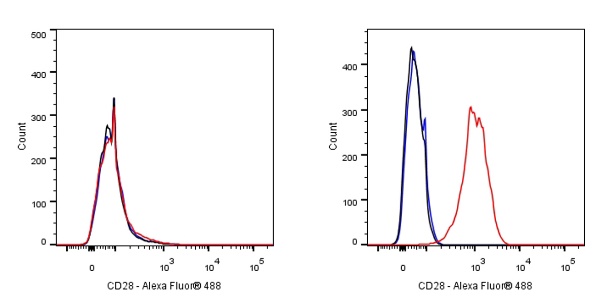 Goat anti-Mouse IgG(H+L) (Alexa Fluor® 488 Conjugate)