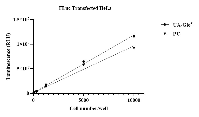 UA-Glo® Bright Luciferase Assay System