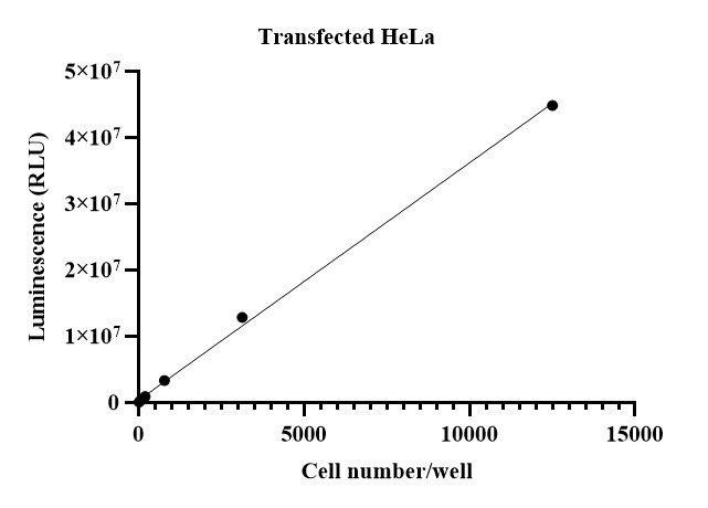 UA-Glo® One-luc Luciferase Assay System