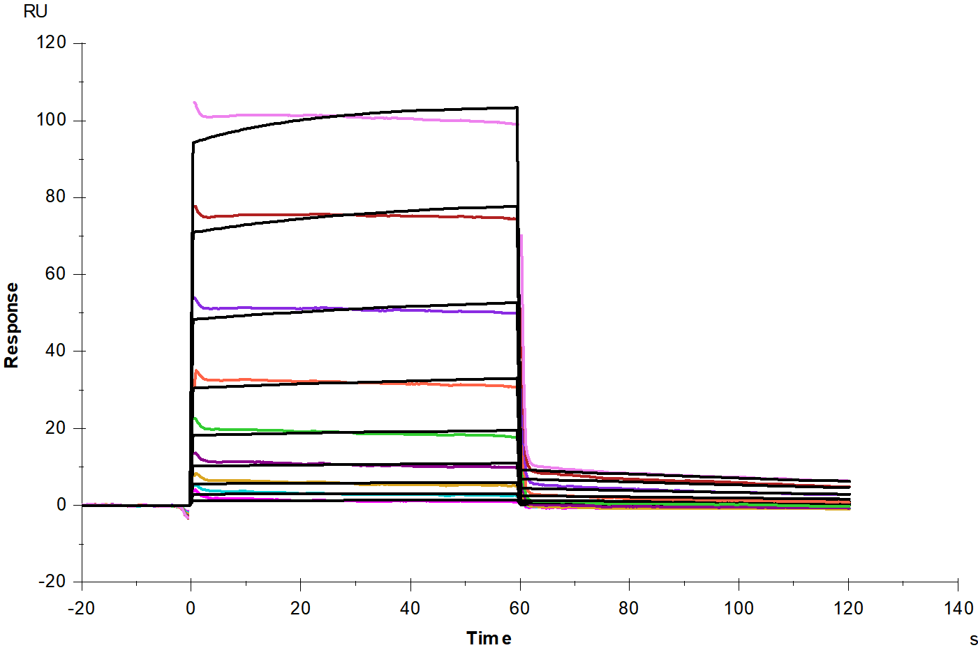 Galectin-1 Protein, Human