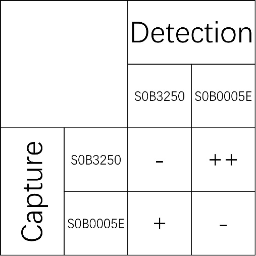 IFN-γ Recombinant Human mAb (SDT-R212)