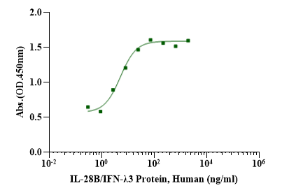 IL-28B/IFN-λ3 Protein, Human