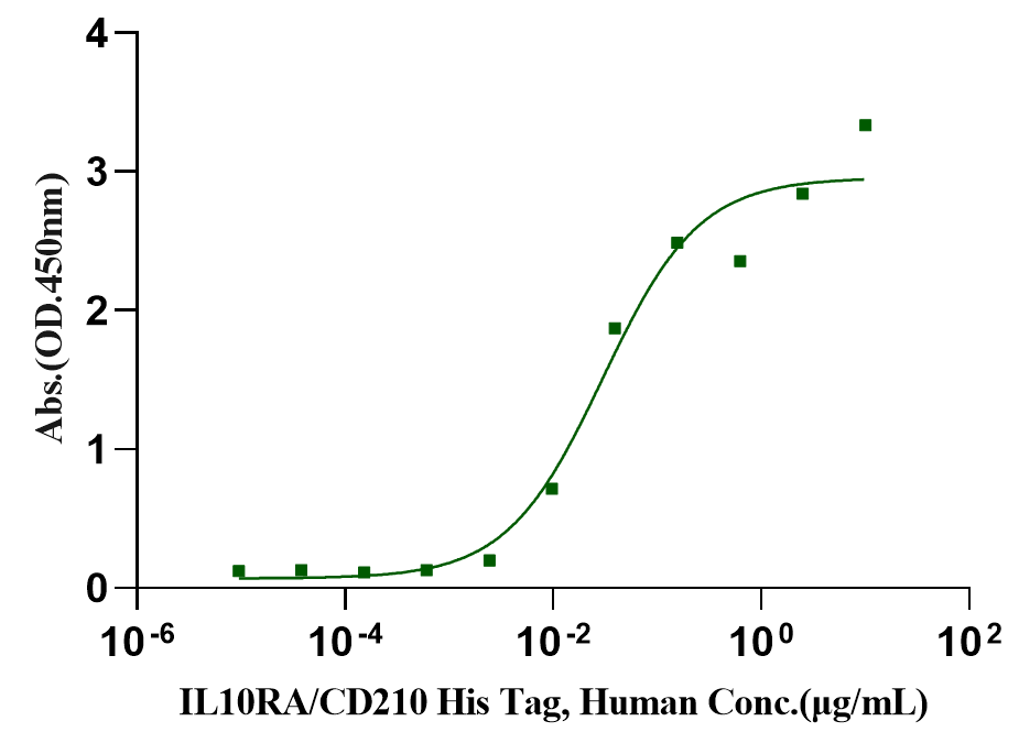 IL-10 Protein, Canine