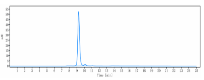 Anti-ANG2 & VEGFA Reference Antibody (Vanucizumab (USAN/INN))