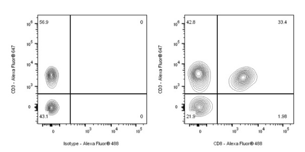 Invivo anti-mouse CD8α Recombinant mAb