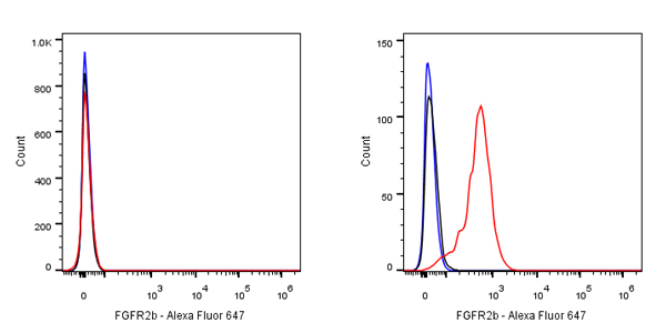 FGFR2b Recombinant Rabbit mAb,PBS Only (SDT-423-18)