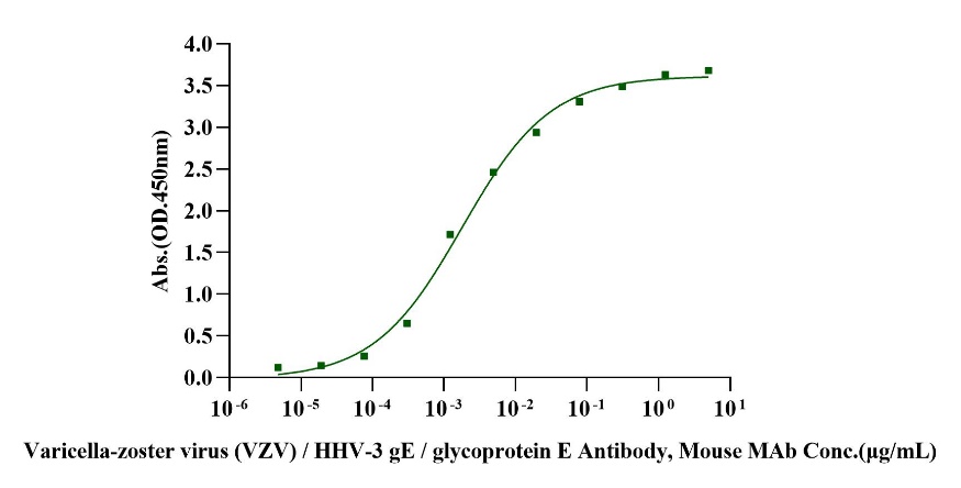 VZVgE Flag Tag Protein