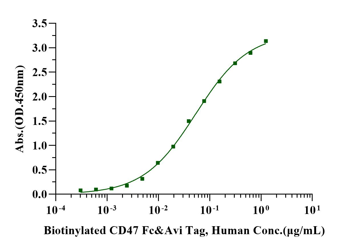SIRP-α Fc Chimera Protein, Human