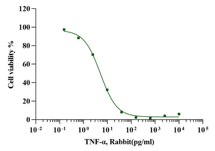 TNF-α Protein, Rabbit