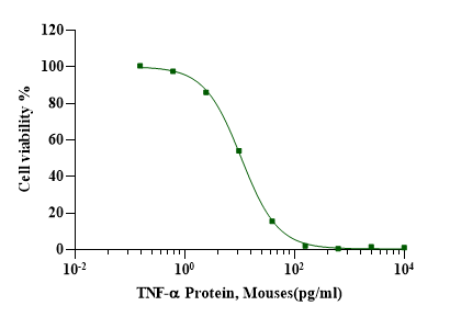 TNF-α Protein, Mouse
