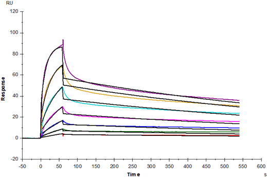 CD7 Ligand/SECTM1 His Tag Protein, Mouse