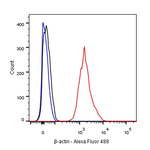 β-actin Recombinant Rabbit mAb (SDT-R156)