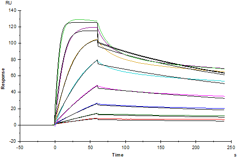 IL-33 Protein, Human
