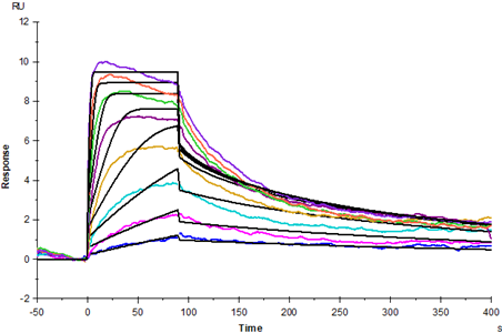 Recombinant Human TNF-α Protein