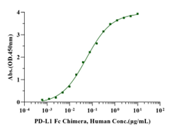 PD-L1 Fc Chimera Protein, Human