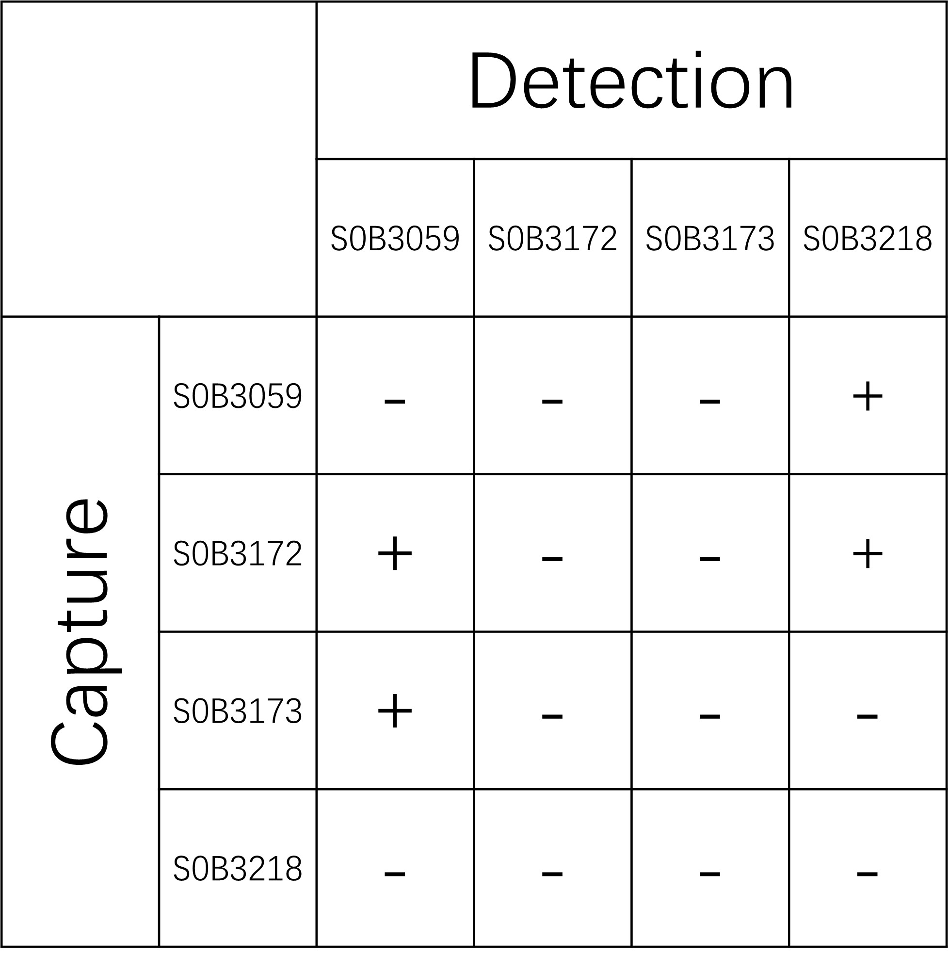 Tau Recombinant Rabbit mAb (SDT-171-45)