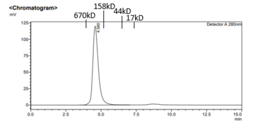 Cullin4A-RBX1-DDB1-CRBN Protein