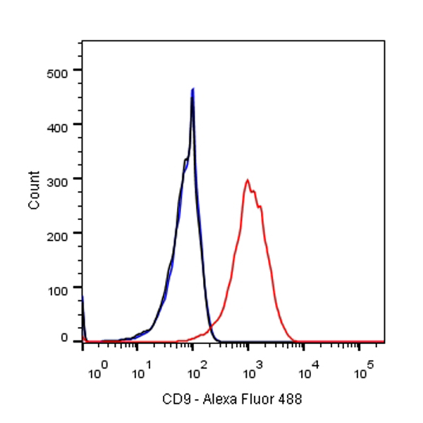 Goat anti-Rabbit IgG(H+L) (Alexa Fluor® 488 Conjugate)