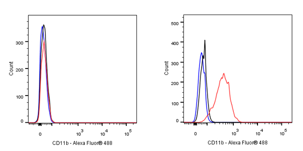 CD11b Recombinant Rabbit mAb (SDT-058-44)
