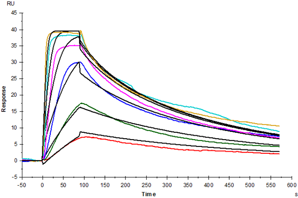 TSLP Protein, Human