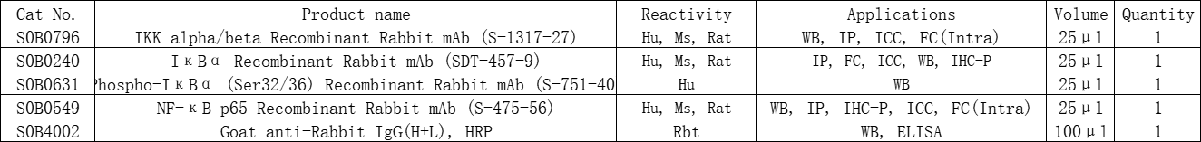 NF-κB Pathway Antibody MiniAb Set