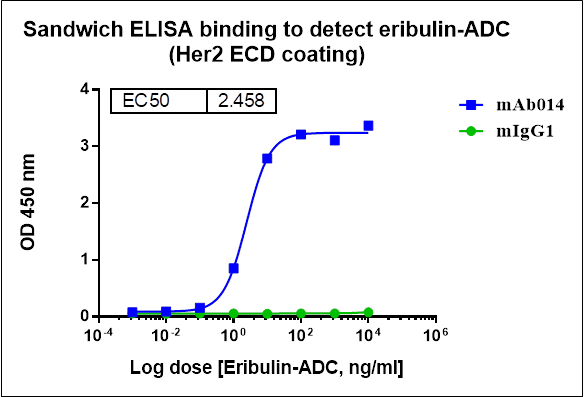 Monoclonal Anti-Eribulin Antibody