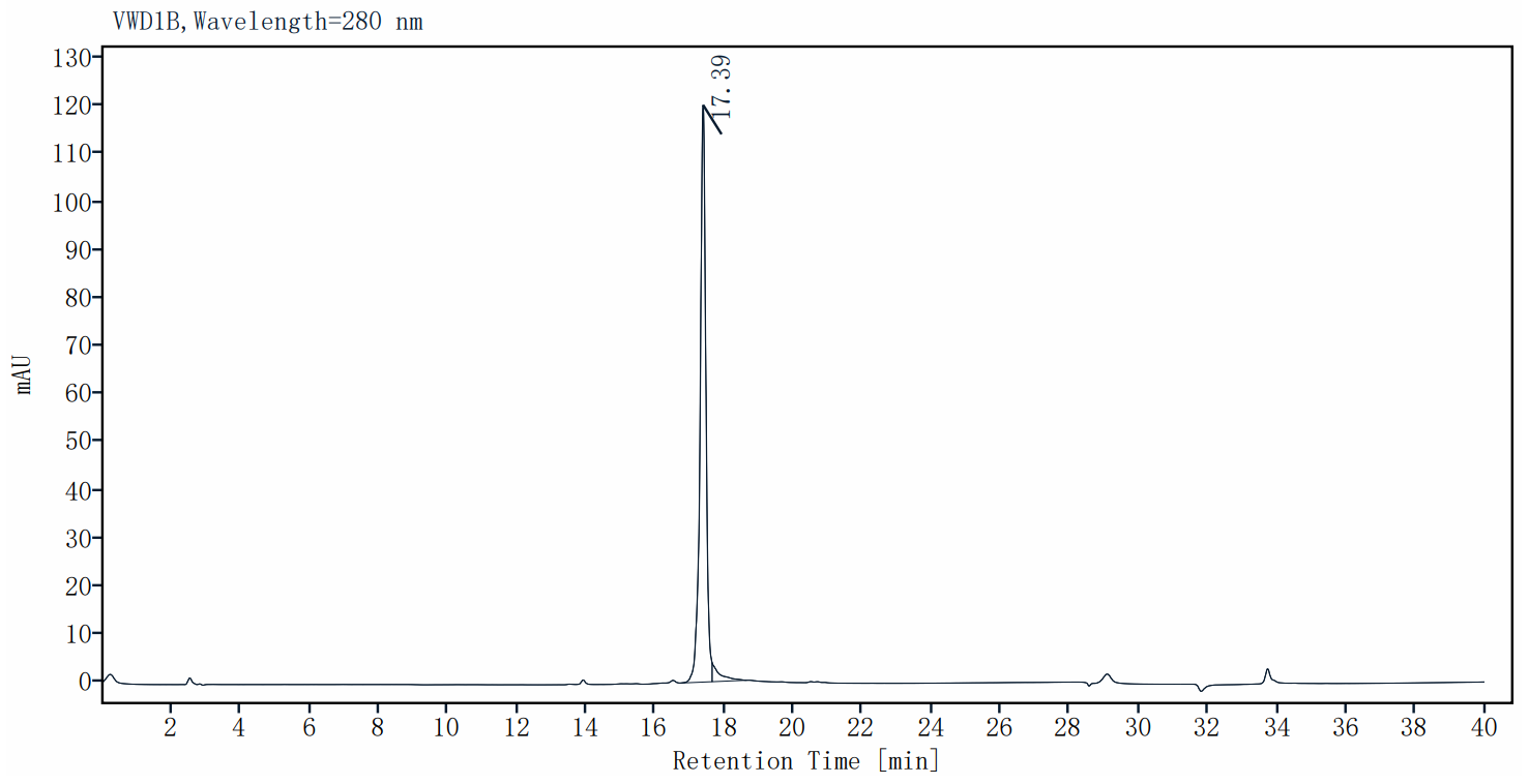 IL-12 Protein, Human