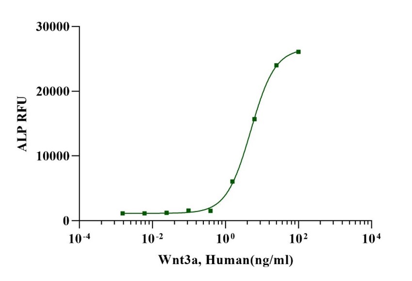 Wnt-3a Protein, Human