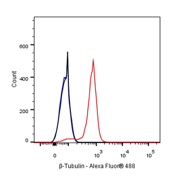 β-tubulin Recombinant Rabbit mAb (SDT-312-113)