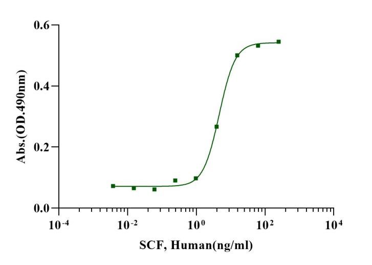 Recombinant Human SCF Protein