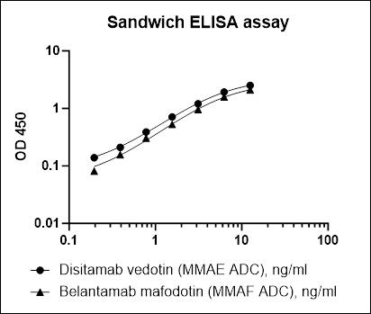 Monoclonal Anti-MMAE&MMAF Antibody