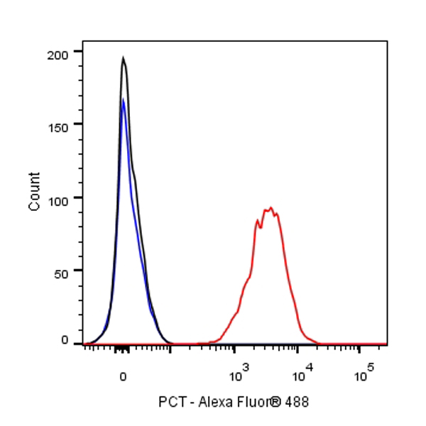 PCT Recombinant Rabbit mAb,PBS Only (SDT-050-58)